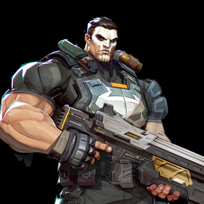 The Punisher