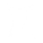 Shielded Stance